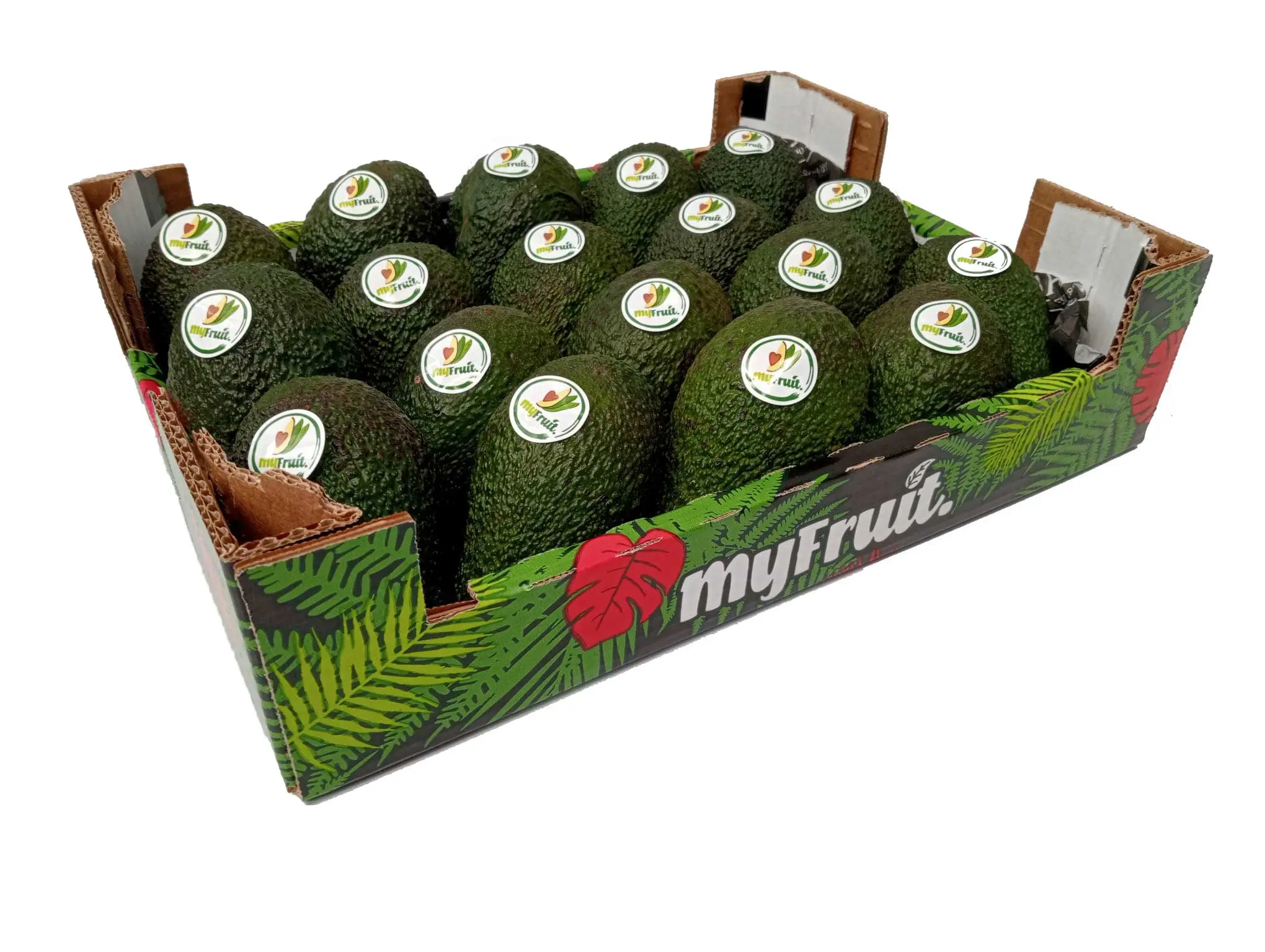 caja de aguacates myfruit 1