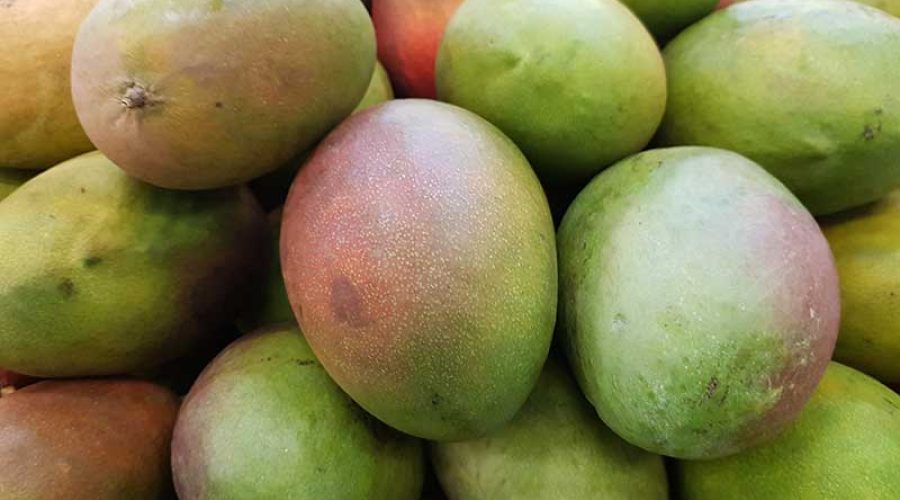 Beneficios y Propiedades del Mango
